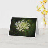 Koningin Anne's Lace, kaart (Gele Bloem)