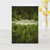 Koningin Anne's Lace, kaart (Gele Bloem)