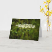 Koningin Anne's Lace, kaart (Gele Bloem)