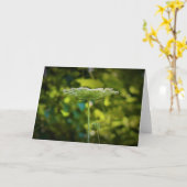 Koningin Anne's Lace, kaart (Gele Bloem)