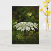 Koningin Anne's Lace, kaart (Gele Bloem)