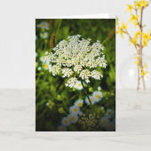 Koningin Anne's Lace, kaart (Gele Bloem)