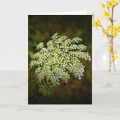 Koningin Anne's Lace, kaart (Gele Bloem)