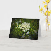 Koningin Anne's Lace, kaart (Gele Bloem)