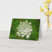 Koningin Anne's Lace, kaart (Gele Bloem)