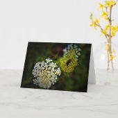 Koningin Anne's Lace, kaart (Gele Bloem)