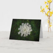 Koningin Anne's Lace, kaart (Gele Bloem)