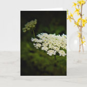 Koningin Anne's Lace, kaart (Gele Bloem)