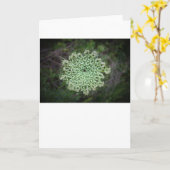 Koningin Anne's Lace, kaart (Gele Bloem)