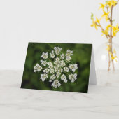 Koningin Anne's Lace, kaart (Gele Bloem)