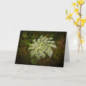 Koningin Anne's Lace, kaart (Gele Bloem)