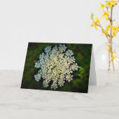 Koningin Anne's Lace, kaart (Gele Bloem)