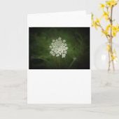 Koningin Anne's Lace, kaart (Gele Bloem)