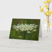 Koningin Anne's Lace, kaart (Gele Bloem)