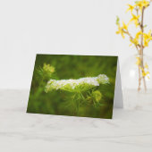 Koningin Anne's Lace, kaart (Gele Bloem)