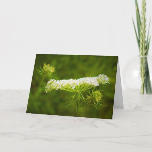 Koningin Anne's Lace, kaart (Voorkant)