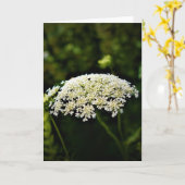 Koningin Anne's Lace, kaart (Gele Bloem)