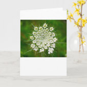 Koningin Anne's Lace, kaart (Gele Bloem)