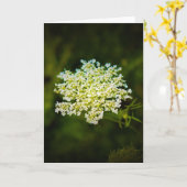 Koningin Anne's Lace, kaart (Gele Bloem)
