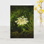 Koningin Anne's Lace, kaart (Gele Bloem)