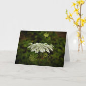 Koningin Anne's Lace, kaart (Gele Bloem)