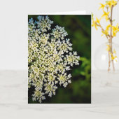 Koningin Anne's Lace, kaart (Gele Bloem)
