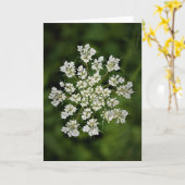 Koningin Anne's Lace, kaart (Gele Bloem)