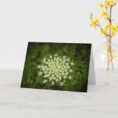 Koningin Anne's Lace, kaart (Gele Bloem)