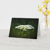 Koningin Anne's Lace, kaart (Gele Bloem)