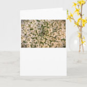 Koningin Anne's Lace, kaart (Gele Bloem)