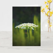 Koningin Anne's Lace, kaart (Gele Bloem)