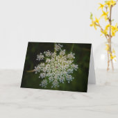 Koningin Anne's Lace, kaart (Gele Bloem)