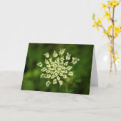 Koningin Anne's Lace, kaart (Gele Bloem)