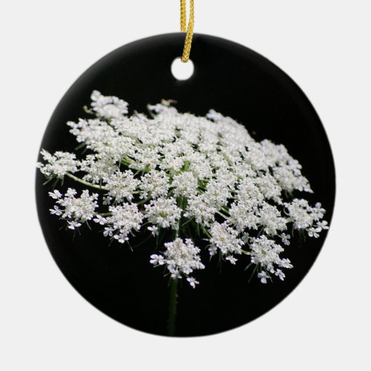 Koningin Anne's Lace Keramisch Ornament (Voorkant)