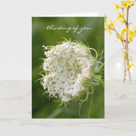 Koningin Anne's Lace macro Kaart (Gele Bloem)