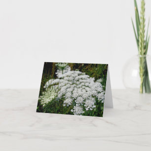 Koningin Anne's Lace Note Kaart