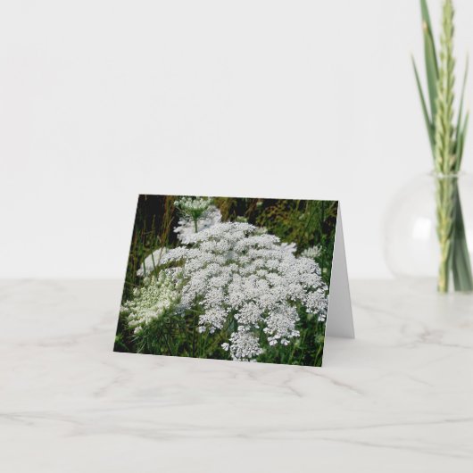 Koningin Anne's Lace Note Kaart (Voorkant)