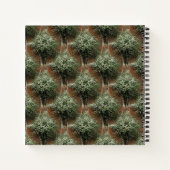 Koningin Anne's Lace..... Notitieboek (Achterkant)