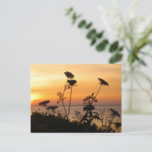 Koningin Anne's Lace op Sunset - Fishers Island, N Briefkaart (Staand voorkant)