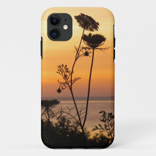 Koningin Anne's Lace op Sunset - Fishers Island, N Case-Mate iPhone Case (Achterkant)