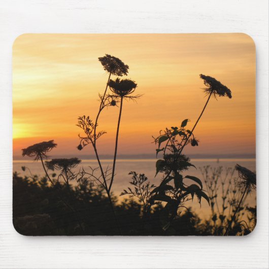 Koningin Anne's Lace op Sunset - Fishers Island, N Muismat (Voorkant)