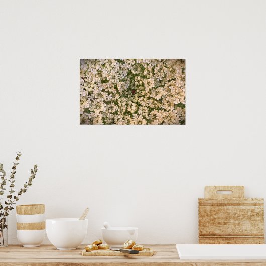 Koningin Anne's Lace Poster (Keuken)