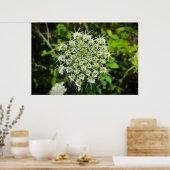 Koningin Anne's Lace Poster (Keuken)