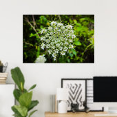 Koningin Anne's Lace Poster (Thuiskantoor)