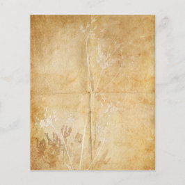 Koningin Anne's Lace Waterverf Parchment