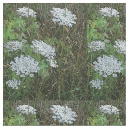 Koningin Anne's Lace White Wild Flower Stof