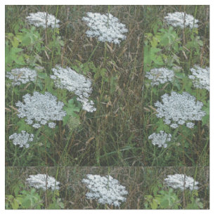 Koningin Anne's Lace White Wild Flower Stof