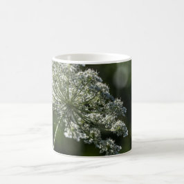 Koningin Anne's Lace White Wildflower Mok Cup