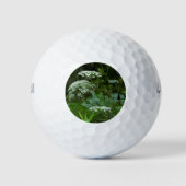 Koningin Anne's Lace Wildflower Golfballen (Voorkant)