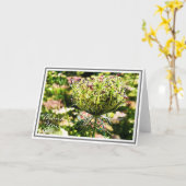 Koningin Anne's lafaard met groene olie Kaart (Gele Bloem)